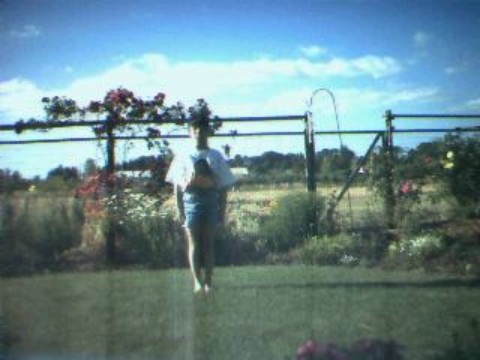 Images/Jul16_01.jpg