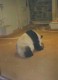 Thumbs/tn_Aug19_10.jpg