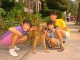 Thumbs/tn_Aug25_06.jpg