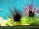 29CN8464_DCE