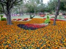 DSCN8216_DCE * 1600 x 1200 * (1.16MB)