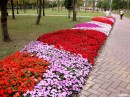 DSCN8222_DCE * 1600 x 1200 * (796KB)