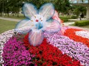 DSCN8229_DCE * 1600 x 1200 * (720KB)