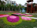 DSCN8237_DCE * 1600 x 1200 * (719KB)