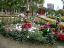 DSCN8241_DCE * 1600 x 1200 * (758KB)